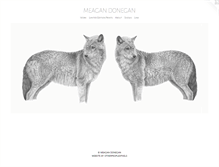 Tablet Screenshot of meagandonegan.com